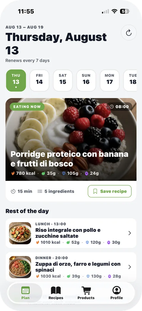 The app's Plan screen: the day's breakfast, lunch and dinner with calories and macros